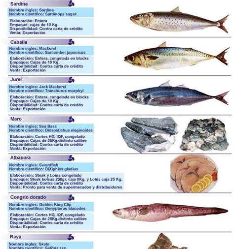 Pescados, Mariscos y Carnes de Caza: Clasificación de los ...