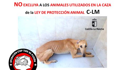 Petición · C LM & Valencia: NO excluya a los perros de caza de la ley ...