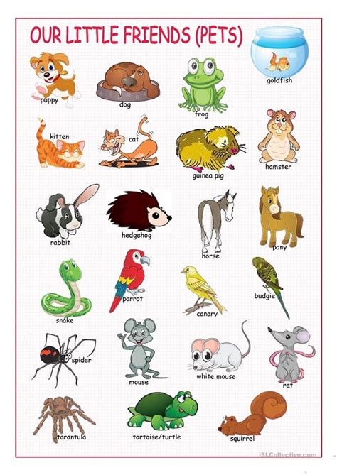 Pets #1  Picture Dictionary    English ESL Worksheets for distance ...