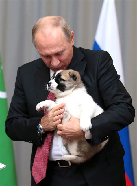 Pets of Vladimir Putin   Wikipedia