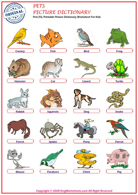 Pets Printable English ESL Vocabulary Worksheets   EngWorksheets
