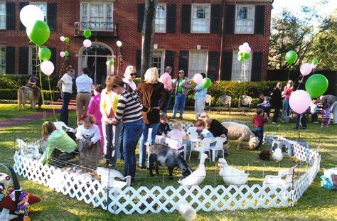Petting Zoo Parties | Petting zoo birthday party, Petting ...