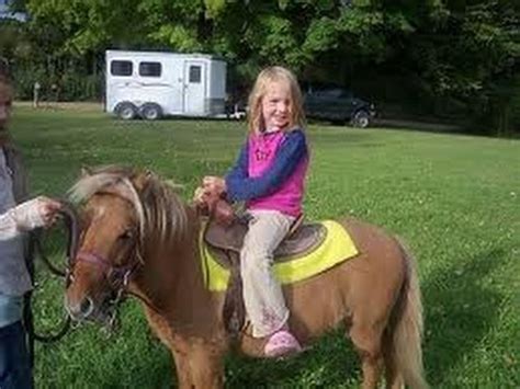 Petting Zoo Rental Pony Rides Rent Birthday Party Pony San ...