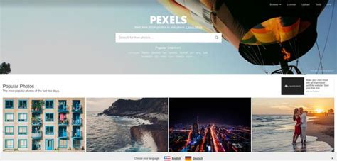 Pexels bancos de imágenes gratis HD para descargar | Banco de imagenes ...
