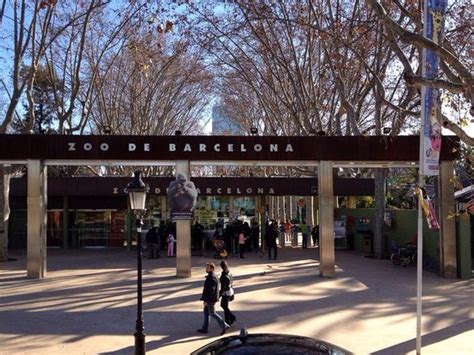 Picture of Barcelona Zoo, Barcelona   TripAdvisor