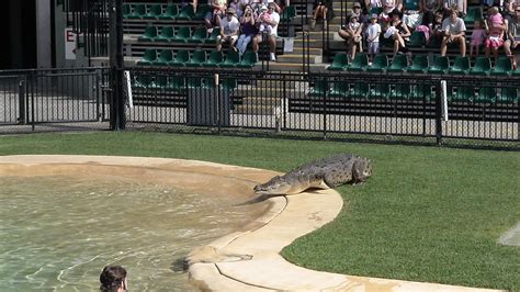 Pictures of Steve Irwin s Australia Zoo and Crocoseum Queensland.