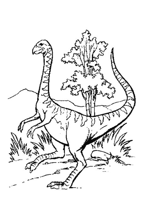 Pictures to Colour   Dinosaurs