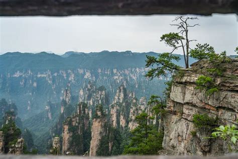 Pilar De Piedra En El Parque Nacional De Zhangjiajie Foto de archivo ...