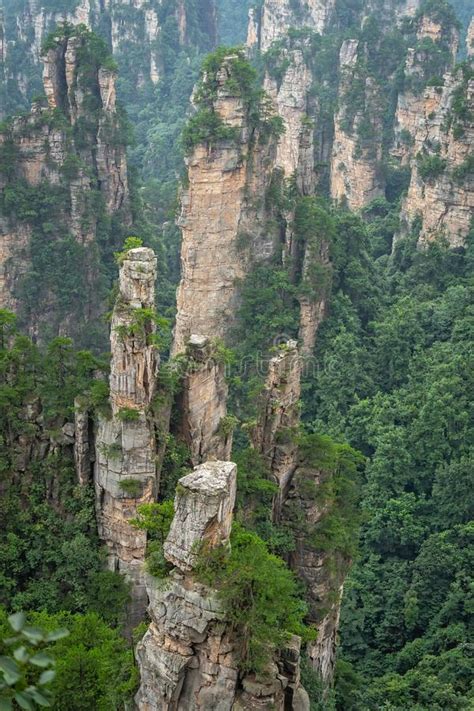 Pilares De Piedra De Las Montañas Tianzi En Zhangjiajie Foto de archivo ...
