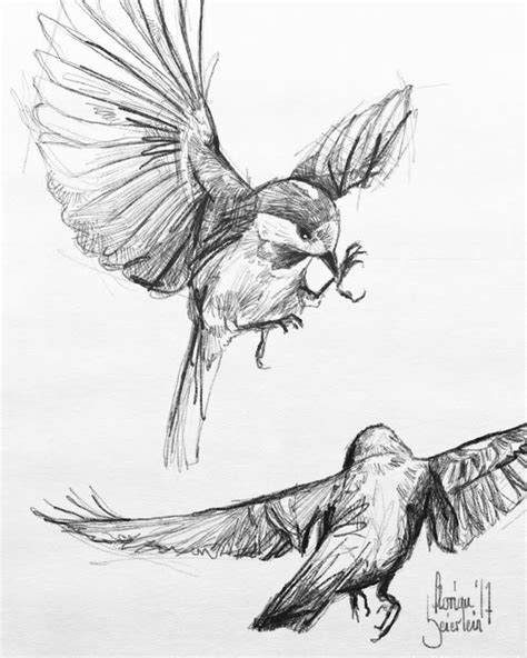 Pin by Celestina on Aesthetics | Flying bird drawing