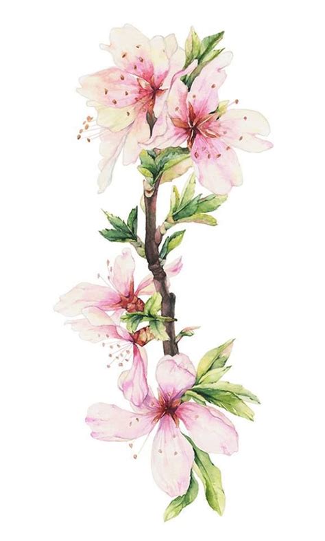 Pin by Detective Q on Painting Flowers | Flower drawing ...