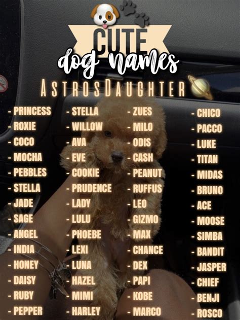 Pin by Emma Ferreira on Name inspiration | Dog names, Cute names for ...
