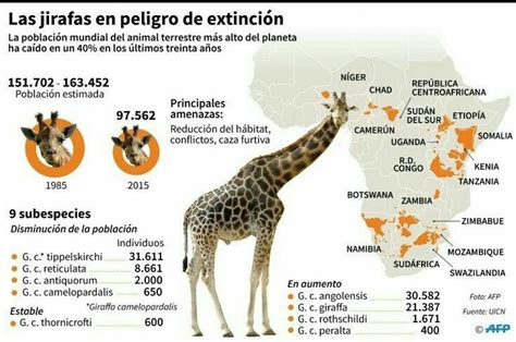 Pin by Luis Espinosa on infografías de animales y plantas ...