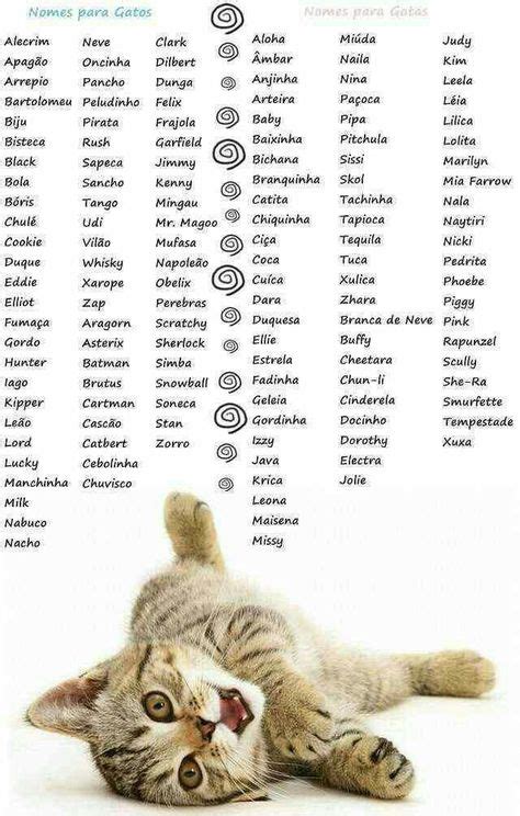 Pin by Marissa on Cute cats | Girl cat names, Kitten names