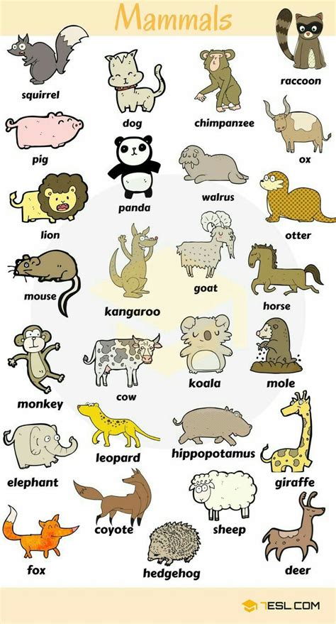 Pin by Yami on English | Animals name in english, English vocabulary ...