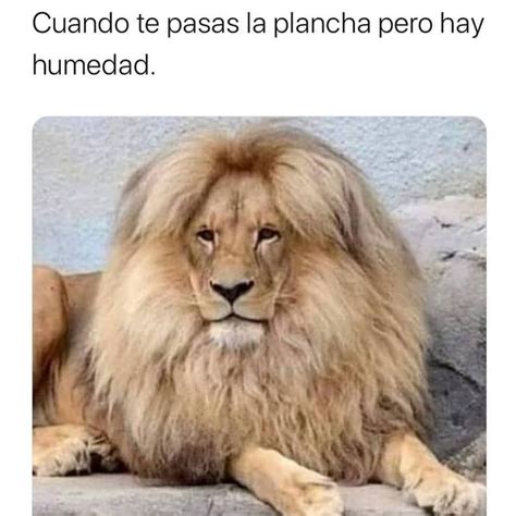 Pin de Adriana Camila en memes en español en 2020 | Memes divertidos ...
