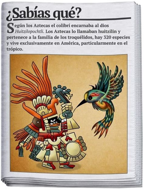 Pin de Alba Lozano en DE NUESTRO MÉXICO | Mayas y aztecas ...