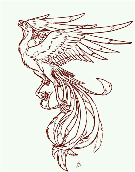 Pin de Angel Faulkner en Tattoos | Ave fenix dibujo, Tatuajes de aves ...