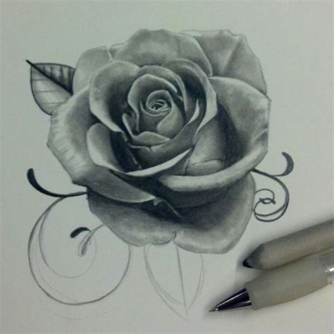 Pin de Berenice Martinez en tattoo rosas  con imágenes  | Boceto de ...