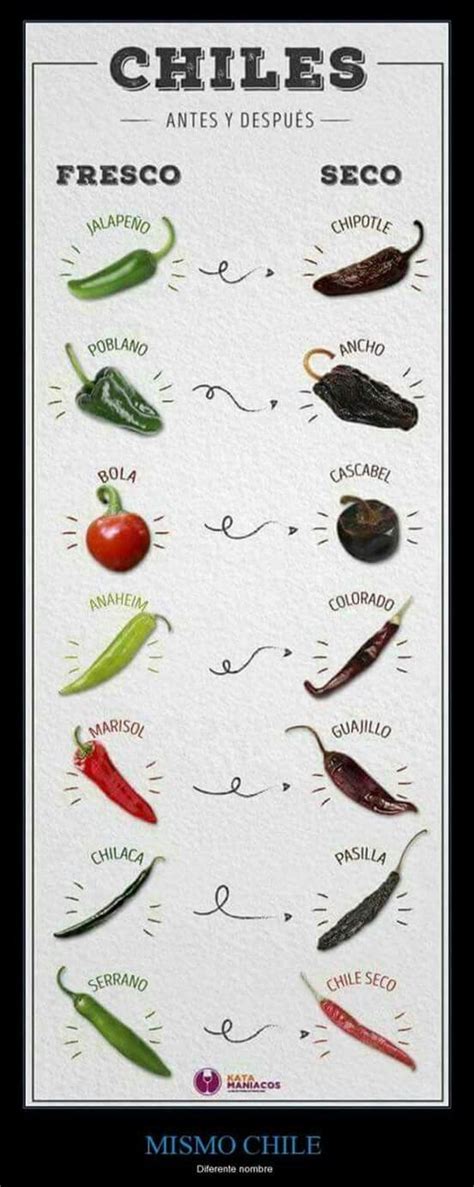 Pin de Claudia Ramirez Casillas en comida | Tipos de chiles, Pimientos ...