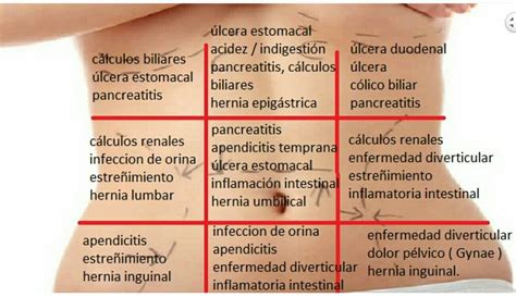 Pin de Gissel Hernández en Enfermería | Dolor abdominal, Dolor en el ...