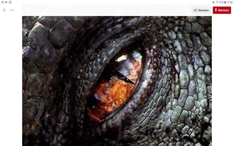 Pin de Irina Kuz en tt | Jurassic world, Dinosaurios jurassic world ...