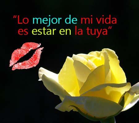 Pin de Isabel Luna en Mis poemas | Imagenes de rosas amarillas, Rosas ...