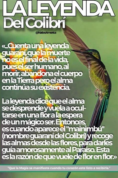 Pin de Lizet Orbe en aves | Leyenda del colibri, Colibri significado ...