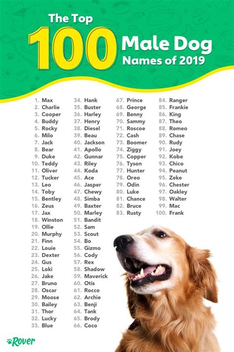 Pin de Mely Mch en Animals | Nombres para perros machos ...