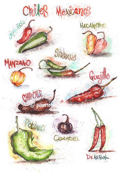 Pin de Mextrade en Lunch or Dinner | Tipos de chiles, Chile mexicano ...