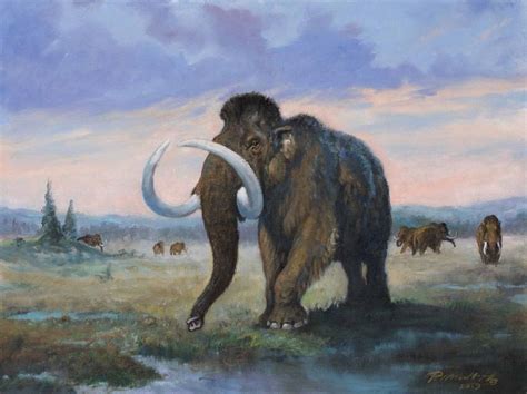 Pin de Michelle Taylor en Mammoth en 2020 | Animales ...
