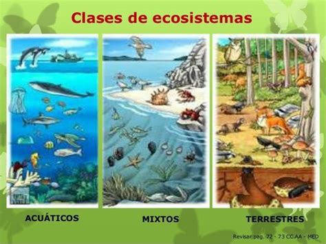 Pin de Nadia Zacarias en Animales en 2020 | Tipos de ecosistemas ...