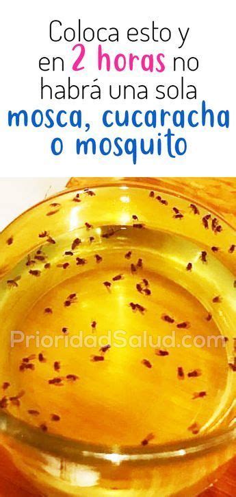 Pin de Tere Ortiz en Pest removal | Repelente de mosquitos casero ...