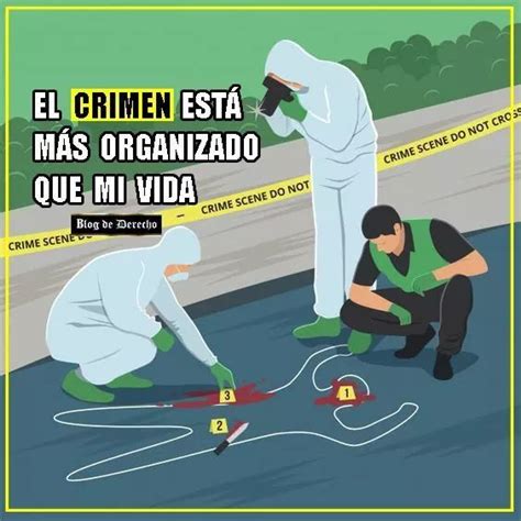 Pin de Yaninav Mieggi en Criminalística ♡ | Criminologia ...