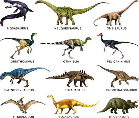 Pin en Dinosaurios