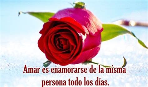 Pin en IMAGENES DE FLORES CON FRASES