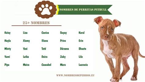 Pin en Nombres de perros