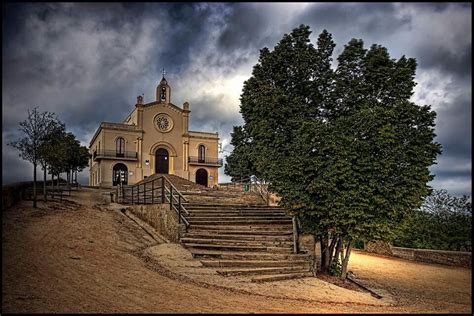 Pin en Sant Boi de Llobregat