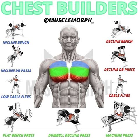 Pin on Chest workouts
