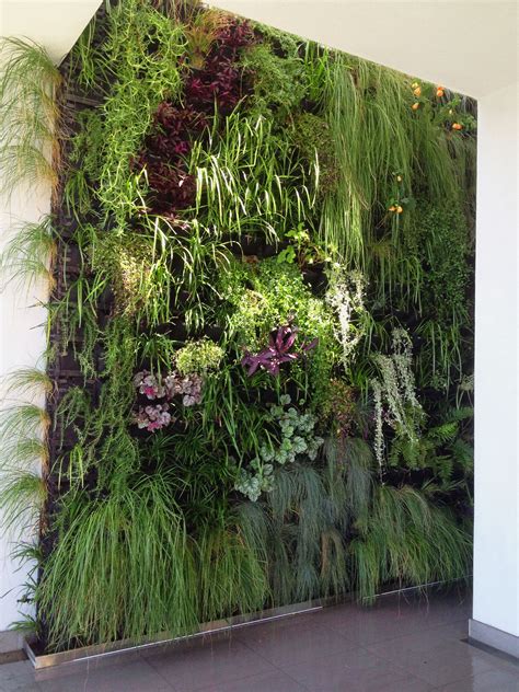 Pin on Eco Outdoor   Green Walls