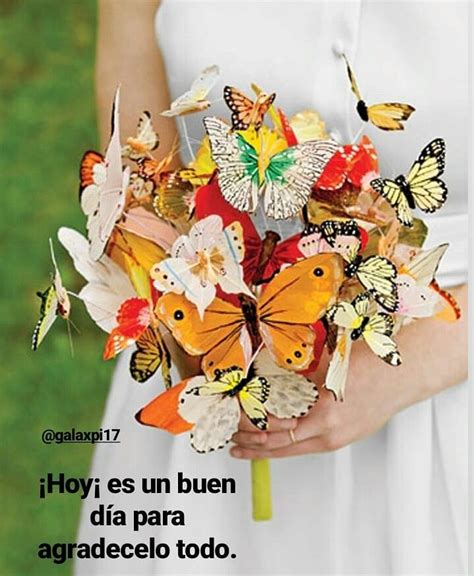 Pin on mariposas, frases, positivas...