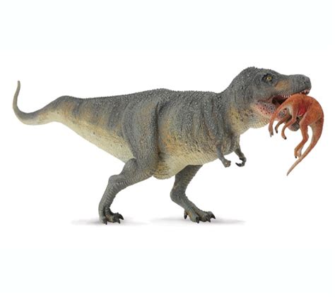 Pin on Tiranosaurio Rex en TodoDinosaurios