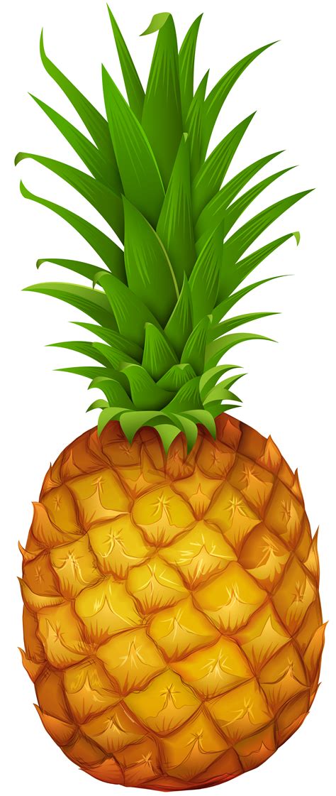 pineapple clipart png 10 free Cliparts | Download images ...