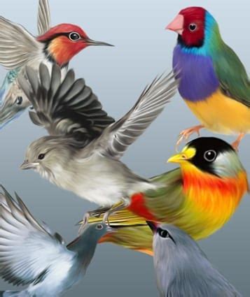 Pinturas digitales de aves para descargar gratis