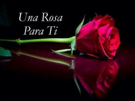 PIROPOS   Una rosa para ti. | Mensajes de buenas noches, Rosas de ...