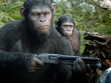 Pisando charcos: El selfie del macaco o cuando los monos dicen pa ta ta