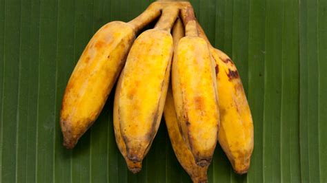 Pisang awak bananas taste very sweet and are very popular ...