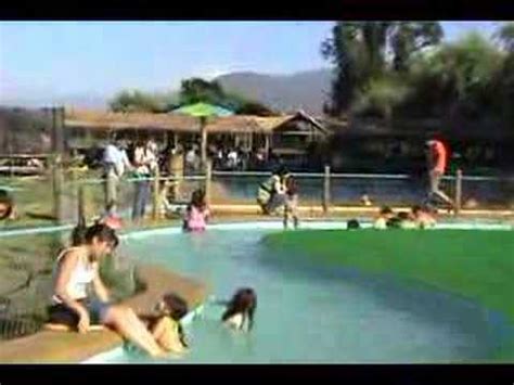Piscinas en Parque Safari   YouTube
