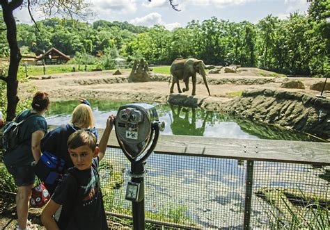 Pittsburgh Zoo battles  criticisms and accusations  while ...