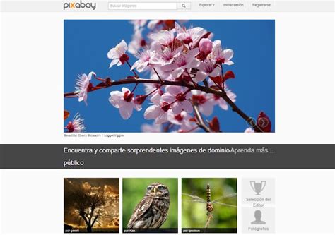 Pixabay, imágenes gratis de alta calidad y libres de derechos